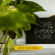 Broker Middletown CT